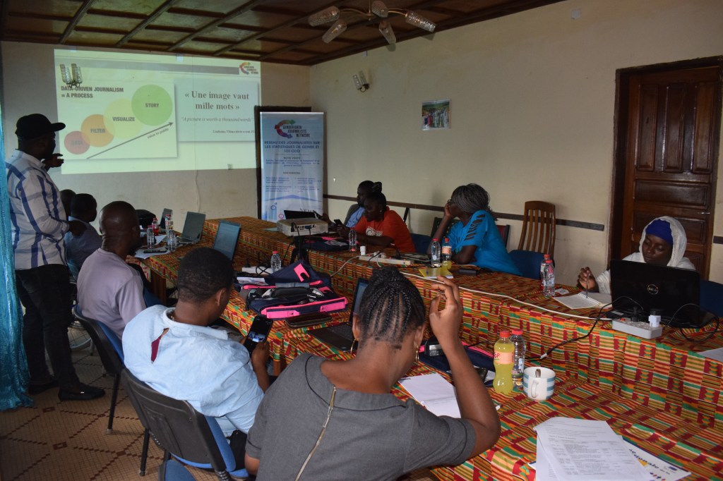 Des journalistes formés sur le genre et initiation aux Data&nbsp;journalism